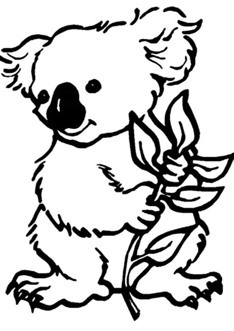 koala bear coloring page color luna