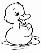 Coloring Duck Baby Pages Kids Popular sketch template