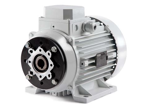 motors hollow shaft asynchronous  phase