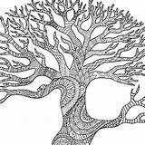 Branches Illustrati sketch template