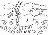 Coloring Goat Pages Goats Supercoloring Categories Cartoon sketch template