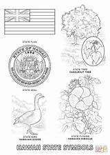 Coloring Hawaii State Pages Tree Symbols Hawaiis Clipart Printable Hawaiian Clipground Color Themed Books Flag Visit Click Crafts Luau Comments sketch template