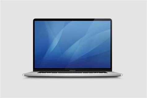 apples   macbook pro  laptop spotted  cata
