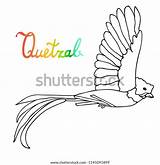 Quetzal Book sketch template
