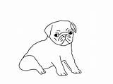 Pug Coloring Pages Puppy Printable Cute Drawing Pugs Dog Kids Draw Line Color Drawings Sad Print Animals Puppies Getcolorings Getdrawings sketch template