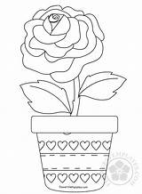 Pot Flower Rose Coloring Flowers sketch template