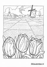Kleurplaat Kleurplaten Windmill Mies Aap Noot Horsthuis Kleuteridee Tulip Parel Netherlands Hollande Landschap Preschool Mewarn15 Leesplankje Bollenvelden Downloaden Uitprinten Tulpen sketch template