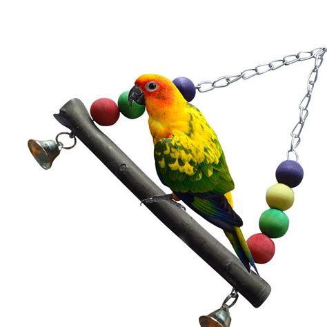 hot colorful bird parrot wood swing cage toy parakeet cockatiel budgie lovebird birds