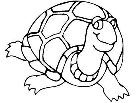 tortoise coloring pages  coloring pages  kids turtle