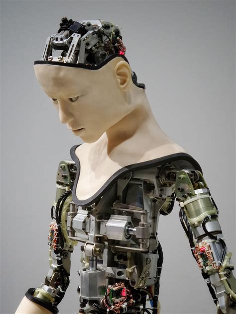 robots humanoides la tendencia de la inteligencia artificial