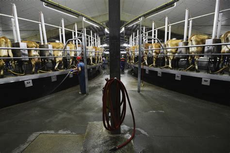 Plan To Expand Oregon Dairy Sparks Debate Over Environment Economy