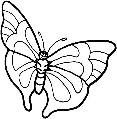 gambar  printable butterfly coloring pages kids printables print