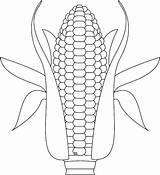 Corn Coloring Indian Stalk Template Pages Growing Printable Activity Kids Sheet Color Getcolorings Clipart Vegetables Library Getdrawings Comments 1024px 81kb sketch template