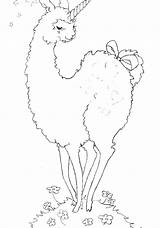 Coloring Llama Alpaca Pages Cartoon Drawing Getdrawings Getcolorings sketch template