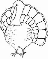 Turkey Coloring Cooked Pages Getcolorings Printable sketch template