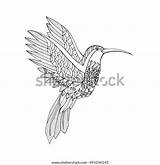 Zentangle Hummingbird Colouring sketch template