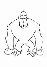 Gorilla Coloring Pages Animal Zoo Print sketch template