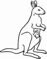 Kangaroo Coloring Baby Pages Drawing Color Pouch Kids Printable Clipart Kangoroo Mother Spoonbill Outline Kangaroos Library Print Painting Template Supercoloring sketch template