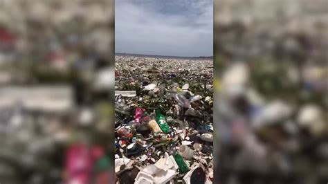 volunteers collect 520 tons of trash along dominican republic beach
