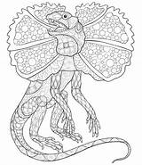 Lizard Coloring Frilled Neck Dragon sketch template