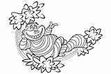 Alice Wonderland Coloring Pages Cat Cheshire Characters Printable Adults Trippy Sheets Drawing Kids Colouring Disney Color Clipart Print Cartoon Cartoons sketch template