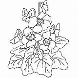 Colorat Primavara Bloemen Flori Bloem Blumen Planse Ausmalbilder Planten P101 Desene Peisaje Fise Desenat P05 Panselute Lente Botany Ausmalen Malvorlagen sketch template