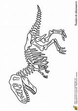 Dinosaure Squelette Fossile Dinosaures Facile Reconstitue Hugolescargot Fossiles sketch template