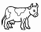 Coloring Cow Clipart Cows Color Carabao Pages Clip Dairy Kids Colouring Printable Cliparts Farm Animals Library Pad Clipartbest Getcolorings Animal sketch template