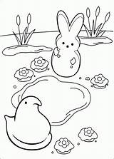 Peeps Marshmallow Peep Websincloud Coloriez Hopscotch Planse Colorat Página sketch template