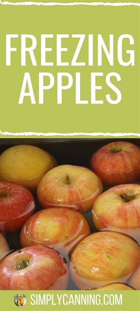 Freezing Apples For Pie Filling Recipe Freezing Apples Canning