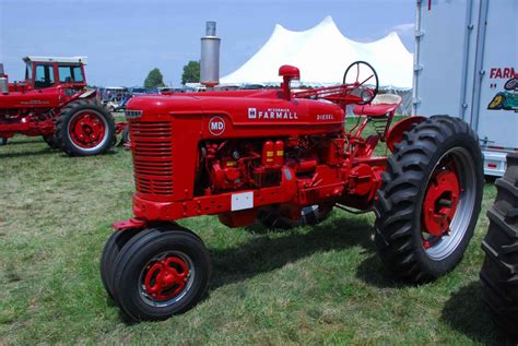 tractor talk  farmall md diesel    breed
