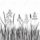 Grass Drawing Line Clipart Drawings Illustration Wild Plant Meadow Silhouette Drawn Vector Silhouettes Hand Stock Plants Flower Flowers Vectors Doodle sketch template
