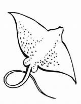 Stingray Manta Twisty Noodle Sting Loudlyeccentric Shark sketch template