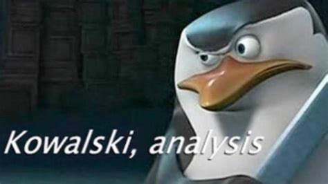 The Best Kowalski Analysis Memes Know Your Meme