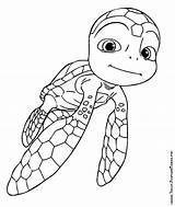 Samy Coloriage Tortugas Extraordinaire Colorier sketch template