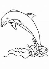 Delfini Delfino Pianetabambini Animali Dolphin Disegnare Arte Utilizzare Inoltre Diretta Alternativa Possibile Funzioni Ricordiamo Dal sketch template