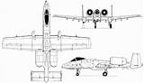 Thunderbolt Ii Fairchild Republic Blueprint 3d Modeling A10 Aircraft Warthog Blueprints Military 3v Ww2 Choose Board sketch template