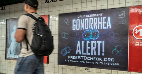 gonorrhea news articles stories and trends for today
