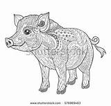 Pigs Schwein Zentangle Turn sketch template