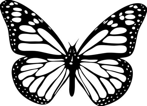resultado de imagem  borboleta borboleta borboletas desenho