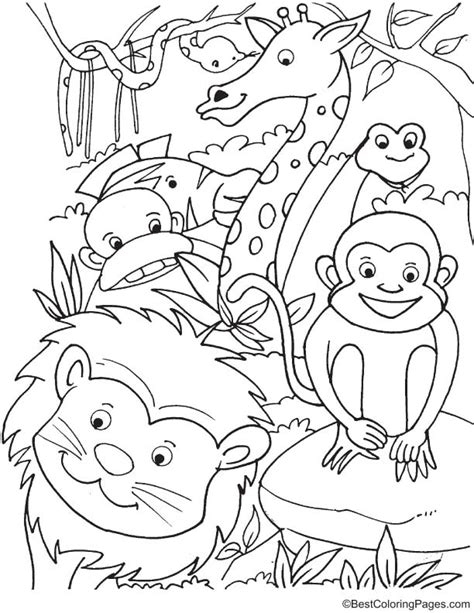 animals  forest coloring page   animals  forest