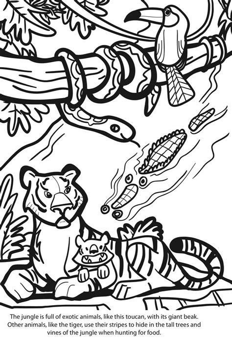 images  coloring pages  pinterest jungle animals folk