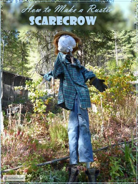 How To Make A Scarecrow A Garden Tradition