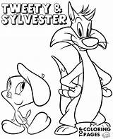Tweety Sylvester Silvester Topcoloringpages Getdrawings sketch template