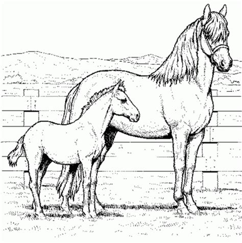 realistic horse coloring pages resume format   coloring home