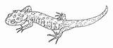 Coloring Pages Spotted Salamander Blue Threatened Massachusetts Endangered Wildlife Feature Mass Gov sketch template
