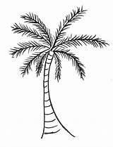 Coconut Tree Coloring Palm Drawing Color Getcolorings Colorin Pages sketch template