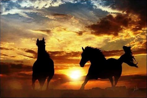 sunset horses scenery pinterest