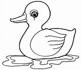 Pato Duck Duckling Pintar Patinhos Kaczka Patos Quacking Kolorowanki Naklejka Sowy Wektorowe Freehand Infantis Prace Pequeno sketch template