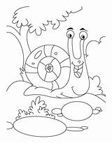 Snail Coloring Pages Color Printable Rocks sketch template